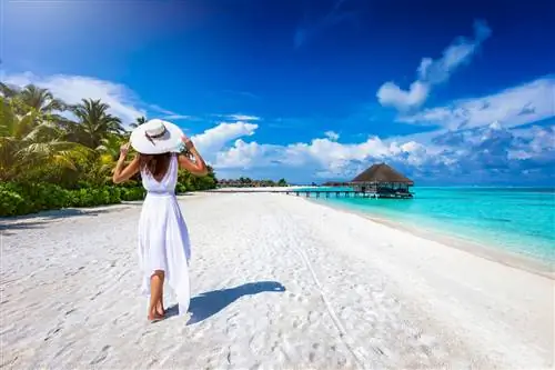 9 новых беспосадочных рейсов из США в солнечные места этой зимой