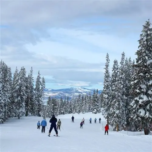 Лыжники на склоне в Стимбот-Спрингс, Колорадо, США