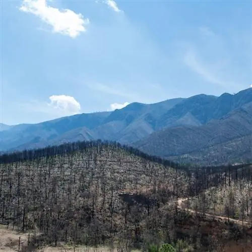 Артеага, штат Коауила, Мексика