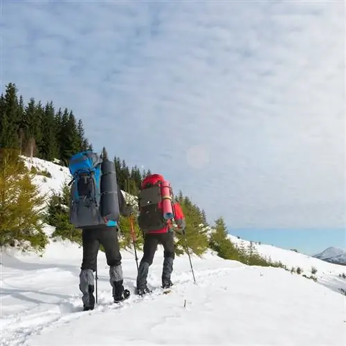 Катание на лыжах на длинные дистанции