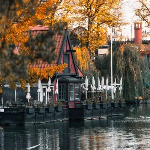 Сады Тиволи в Копенгагене украшены осенними цветами