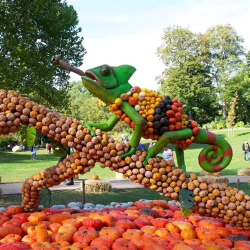 огромная ящерица, сделанная из тыквы, взбирается на дерево, сделанное из тыквы