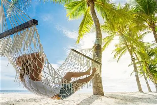 Вот почему Ямайка по-прежнему безопасна, несмотря на предупреждения США о безопасности