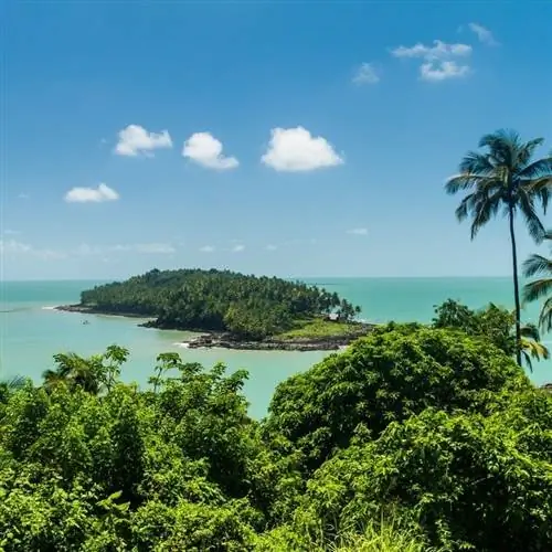 Тропический остров в Гайане, Южная Америка