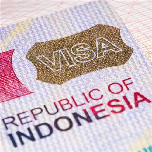 фото индонезийской визы