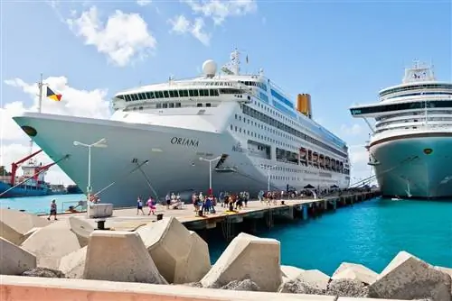 Почему круизы вот-вот вернутся с удвоенной силой