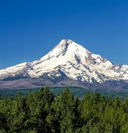 заснеженная гора