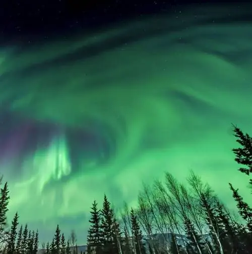 Фэрбенкс, Аляска