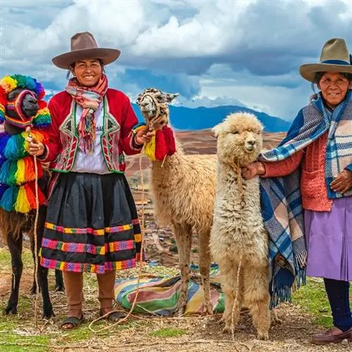 Женщины коренных народов Перу с ламами