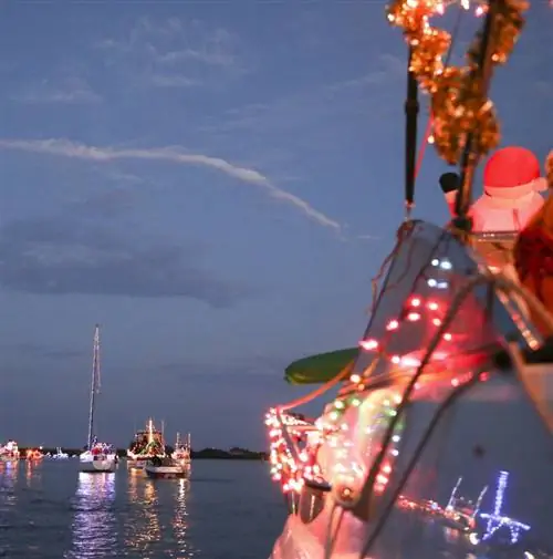 Отправьтесь в рождественский круиз в Вашингтоне