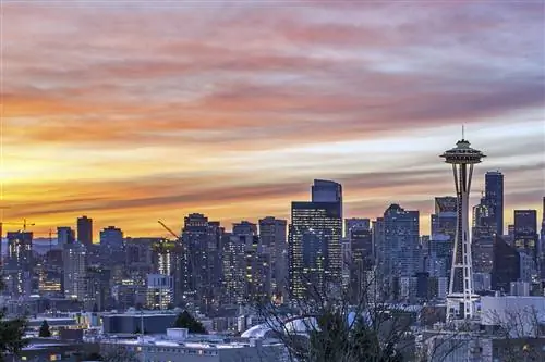 Топ-6 необычных вещей, которыми стоит заняться в штате Вашингтон этой зимой