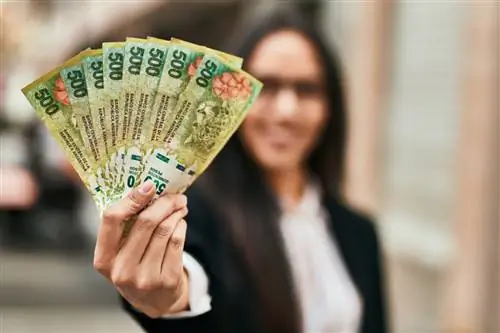 Новый туристический обменный курс Аргентины эффективно удвоит ваш кэшбэк