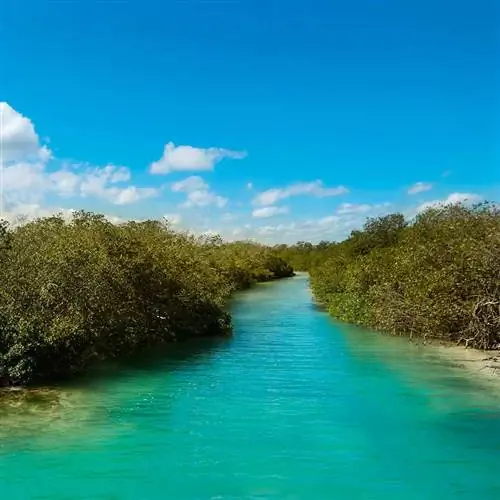 Природный биосферный заповедник Сиан-Каан недалеко от Фелипе Каррильо-Пуэрто, полуостров Юкатан, Мексика