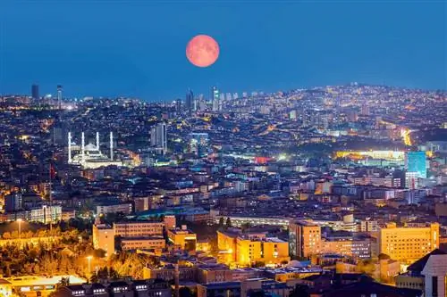 Это самый дешевый город в мире для цифровых кочевников