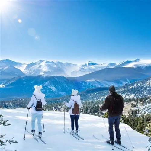 Это самые популярные варианты аренды для отпуска на Airbnb