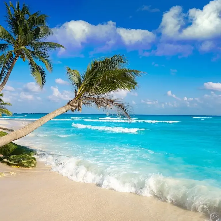 Красивый тропический пляж в Плайя-дель-Кармен, Ривьера-Майя, Кинтана-Роо, Мексика