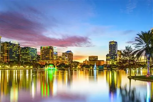 Топ-7 вещей, которыми можно заняться в Орландо, Флорида, помимо Disney World