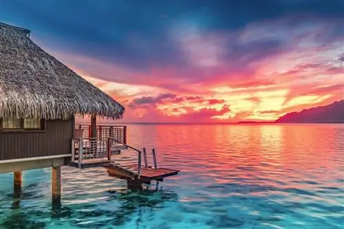 8 лучших тропических мест, которые стоит посетить этой зимой