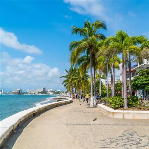 Современная набережная с пальмами и видом на Тихий океан в Пуэрто-Вальярта, Халиско, Мексика