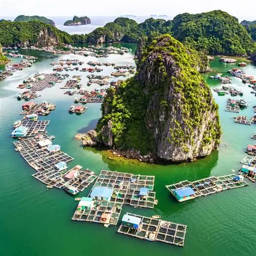 Вид с воздуха на плавучую рыбацкую деревню во Вьетнаме, Юго-Восточная Азия