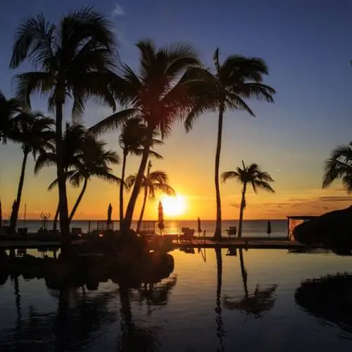 силуэты пальм на закате во время весенних каникул на воде в Кабо-Сан-Лукас