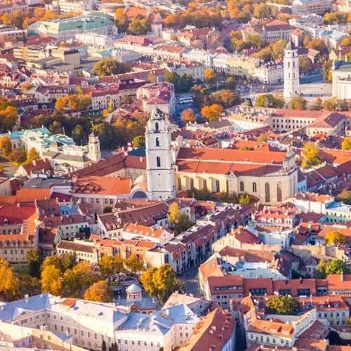 Горизонт Литвы