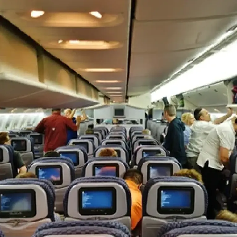 Вид изнутри United Airlines