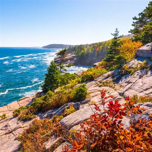 Осенняя листва на скалистом побережье национального парка Акадия