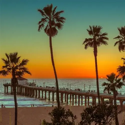 Пальмы и пирс на Манхэттен-Бич на закате в Калифорнии, Лос-Анджелес, США.