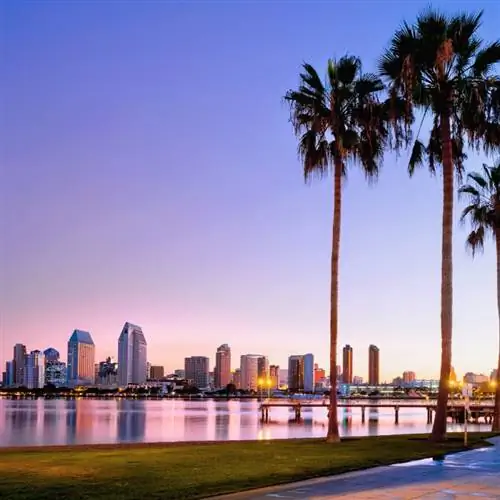 Сан-Диего - линия горизонта с пальмами