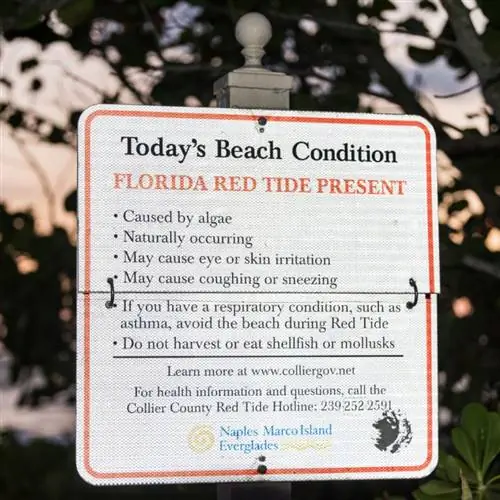 Знак условий красного прилива