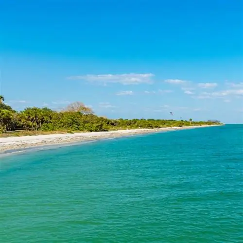 Природа Тампа-Бэй, Флорида