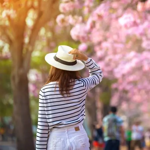 Женщина-путешественница перед цветущей вишней