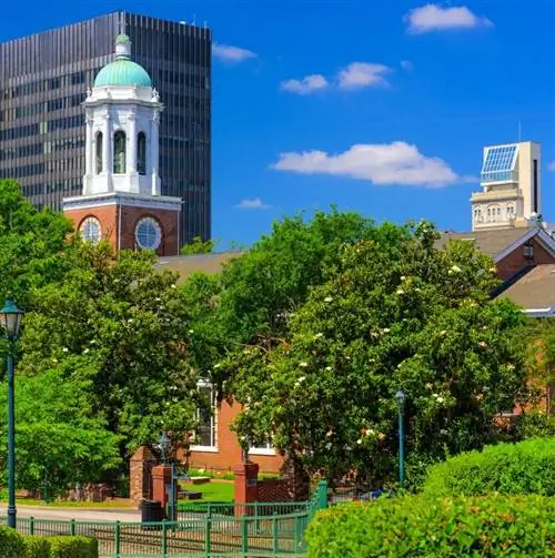 Прогулка по реке Огеста, Джорджия