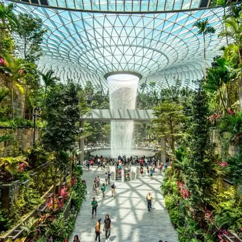 Внутренняя часть Jewel в аэропорту Чанги с видом на Дождевой вихрь, окруженный стеной зеленых растений.