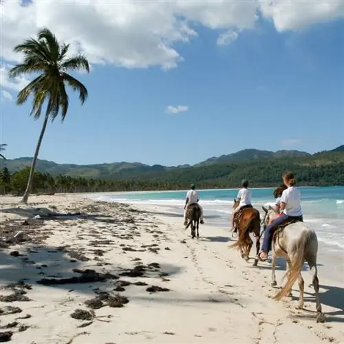 люди катаются на лошадях по пляжу