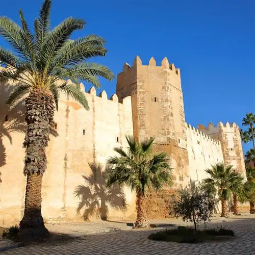 Внешний вид крепостных валов старой Медины, обсаженной пальмами в Сфаксе, Тунис, Северная Африка