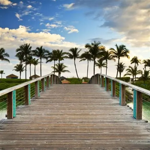 Деревянная дорожка ведет к пальмам и пляжу в Нассау, Багамы.