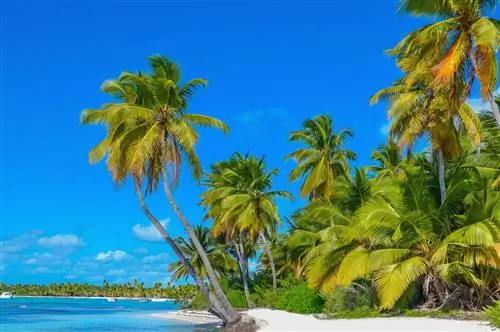 JetBlue запускает новые рейсы в Доминиканскую Республику