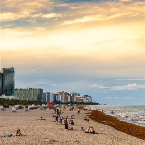 Майами-Бич со зданиями, людьми и водорослями на береговой линии