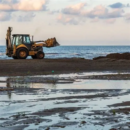 Трактор едет по пляжу, собирая водоросли в кучу