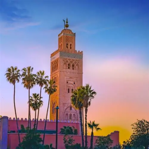 башня и пальмы в Марракеше