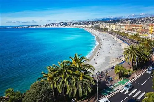 Hilton откроет новые отели во Франции в этом году