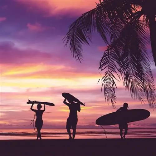 Серферы на Гавайях на фиолетовом закате