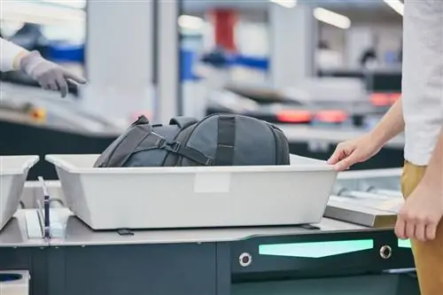6 удивительных вещей, которые TSA советует не брать с собой в ручную кладь