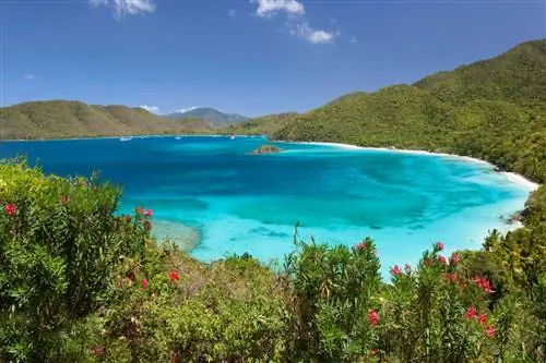 Это 6 лучших пляжей Карибского бассейна по версии TripAdvisor