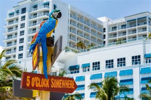 Margaritaville открывает эти 2 роскошных отеля в Калифорнии