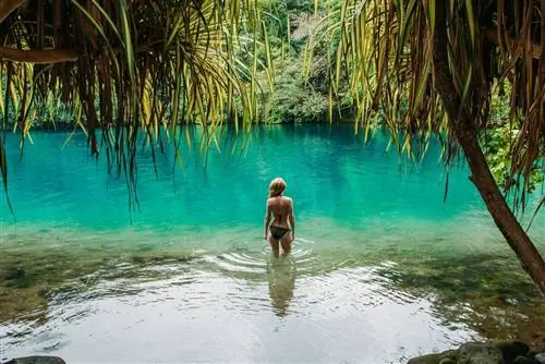 Почему популярность этого карибского направления стремительно растет