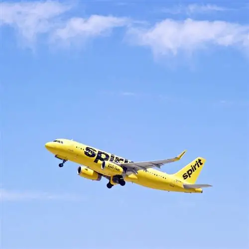 самолет авиакомпании Spirit Airlines летит