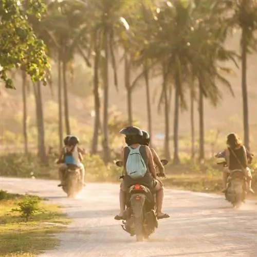 люди на мотоциклах едут сквозь туманный туман на Бали, пальмы на заднем плане.